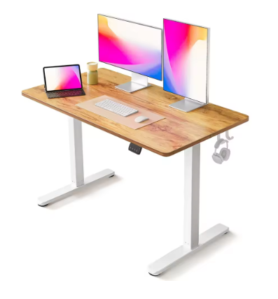Electric Standing Desk, 48 x 24 Inches Height Adjustable Stand up Desk, Sit Stand Home Office Desk, Computer Desk